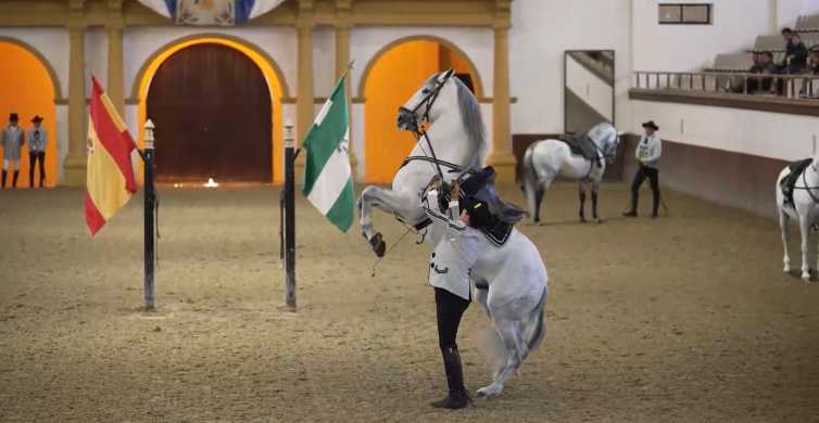 Andalusian School of Equestrian Art